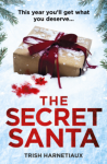 The Secret Santa - Trish Harnetiaux